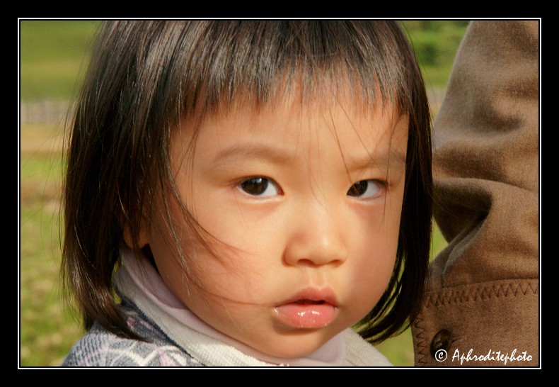 024 Japan portraits